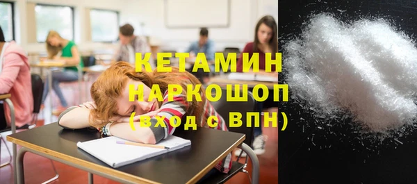 стаф Богданович